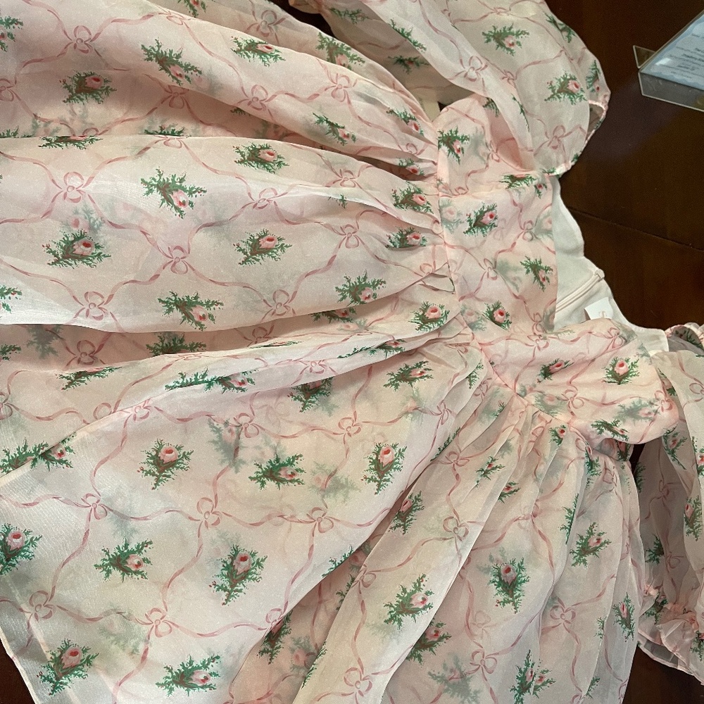 Selkie Puff Sleeve Dress